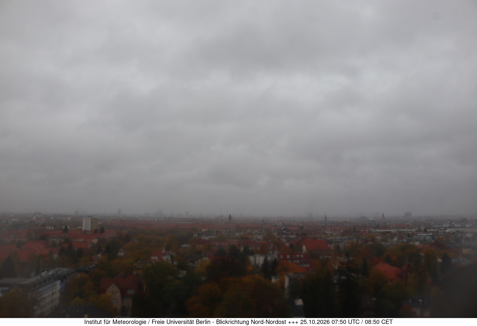 Webcam Bild