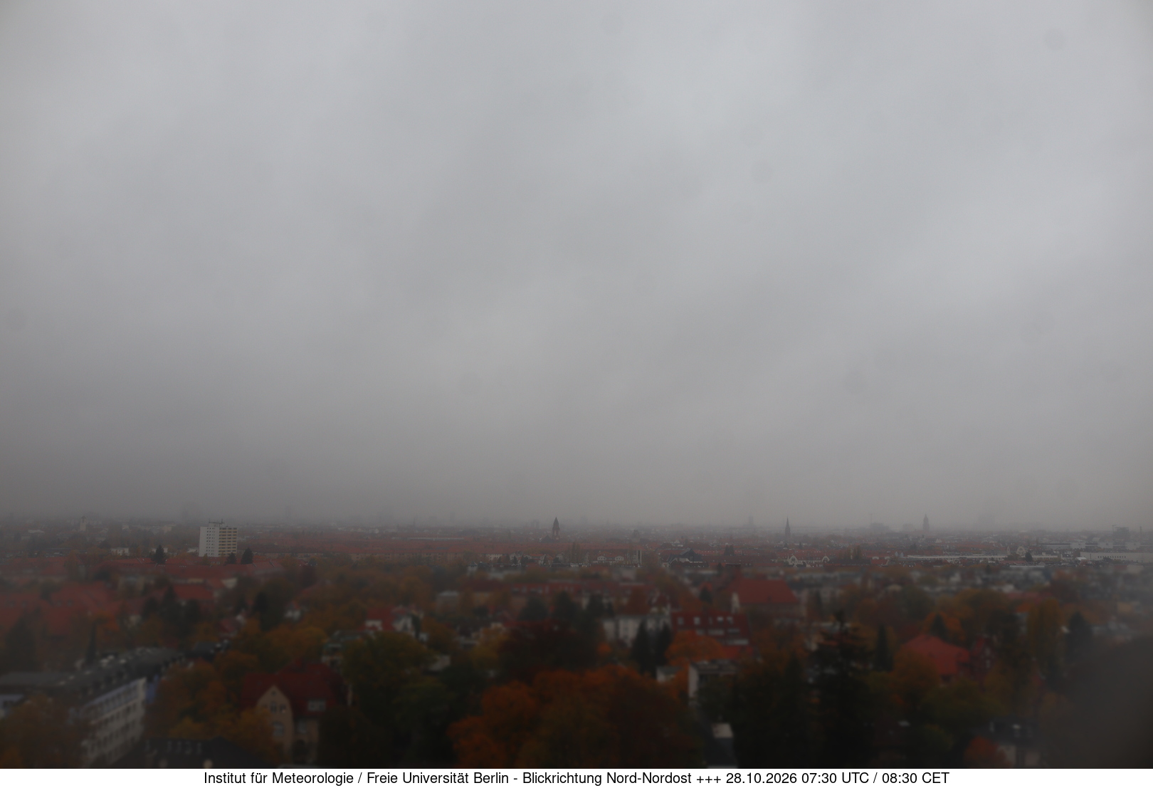 Webcam Bild